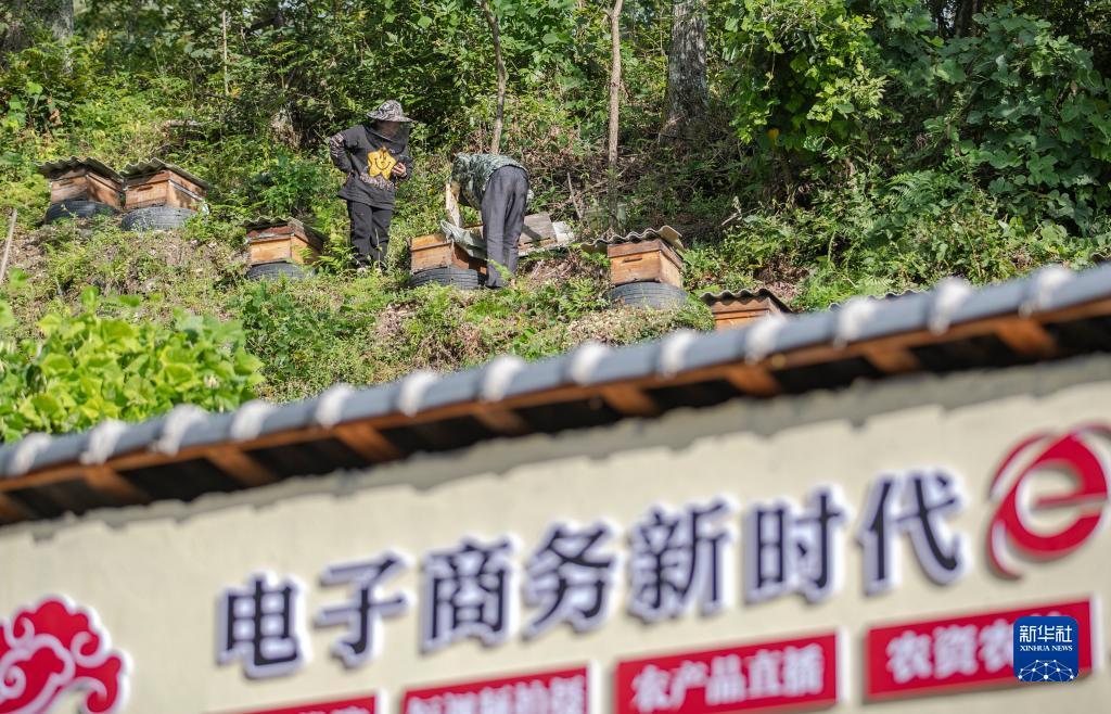 小白屋论坛官网